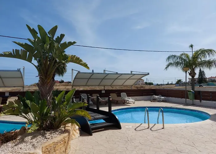 Palms A2 102 * Píla